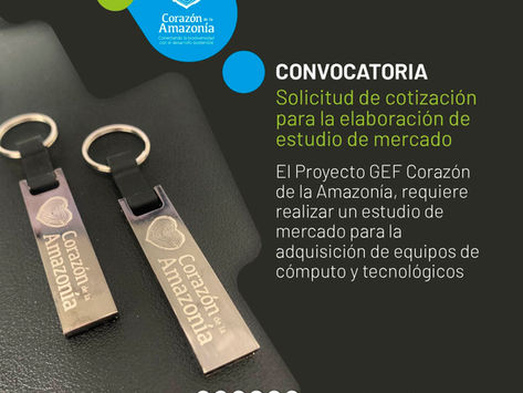 Solicitud de cotización para elaboración de estudio de mercado