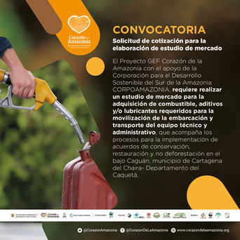 Solicitud de cotización para elaboración de estudio de mercado.