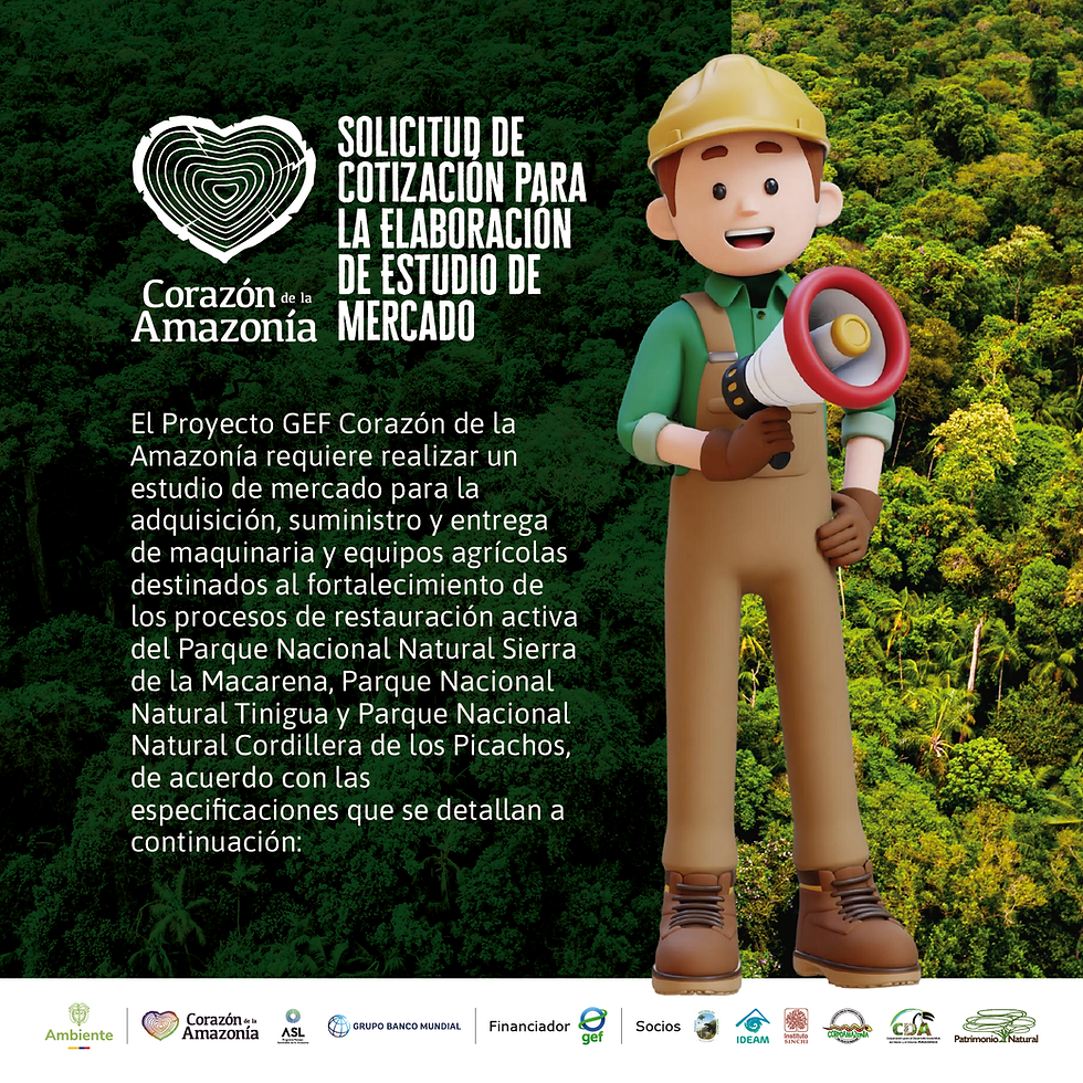 Solicitud de cotización para elaboración de estudio de mercado