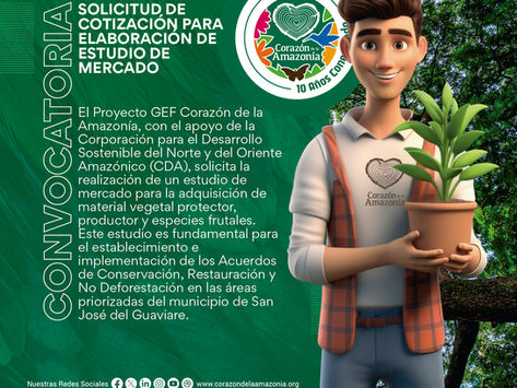 SOLICITUD DE COTIZACIÓN PARA ELABORACIÓN DE ESTUDIO DE MERCADO
