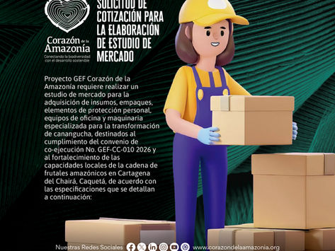 Solicitud de cotización para elaboración de estudio de mercado