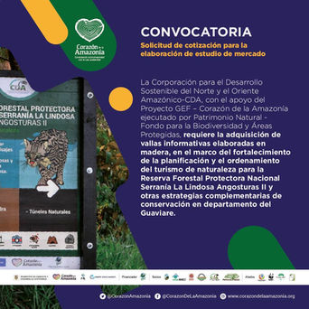 Solicitud de cotización para elaboración de estudio de mercado.