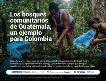 Los bosques comunitarios de Guatemala, un ejemplo para Colombia.