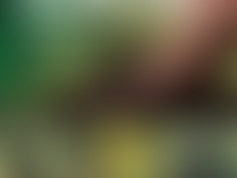 Viveros para la vida