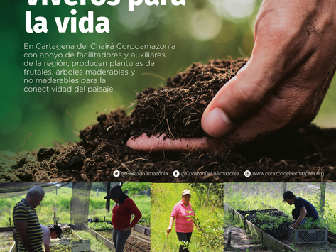 Viveros para la vida