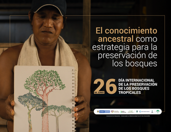El conocimiento ancestral como estrategia para la preservación de los bosques