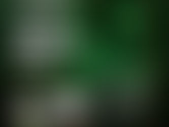 Curso de manejo de alturas para conocer el bosque.