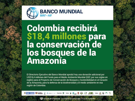 Colombia recibirá $18,4 millones para la conservación de los bosques de la Amazonía.