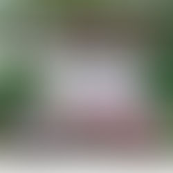 Los bosques como base del desarrollo sostenible de comunidades locales y pueblos indígenas