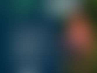SOLICITUD DE COTIZACIÓN PARA ELABORACIÓN DE ESTUDIO DE MERCADO