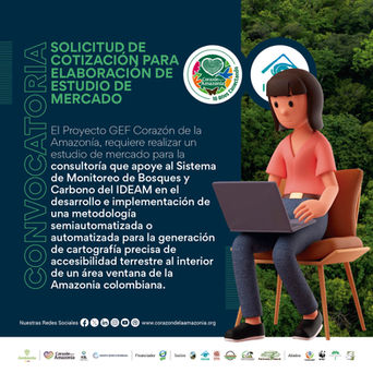 SOLICITUD DE COTIZACIÓN PARA ELABORACIÓN DE ESTUDIO DE MERCADO