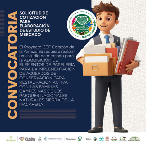 SOLICITUD DE COTIZACIÓN PARA ELABORACIÓN DE ESTUDIO DE MERCADO