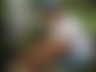Corazón de la Amazonía: Territorios vivos para la conservación y el buen vivir