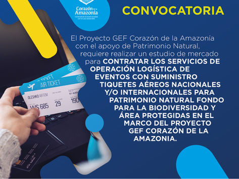 Solicitud de cotización para elaboración de estudio de mercado.