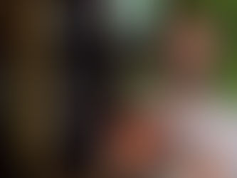 Solicitud de cotización para elaboración de estudio de mercado