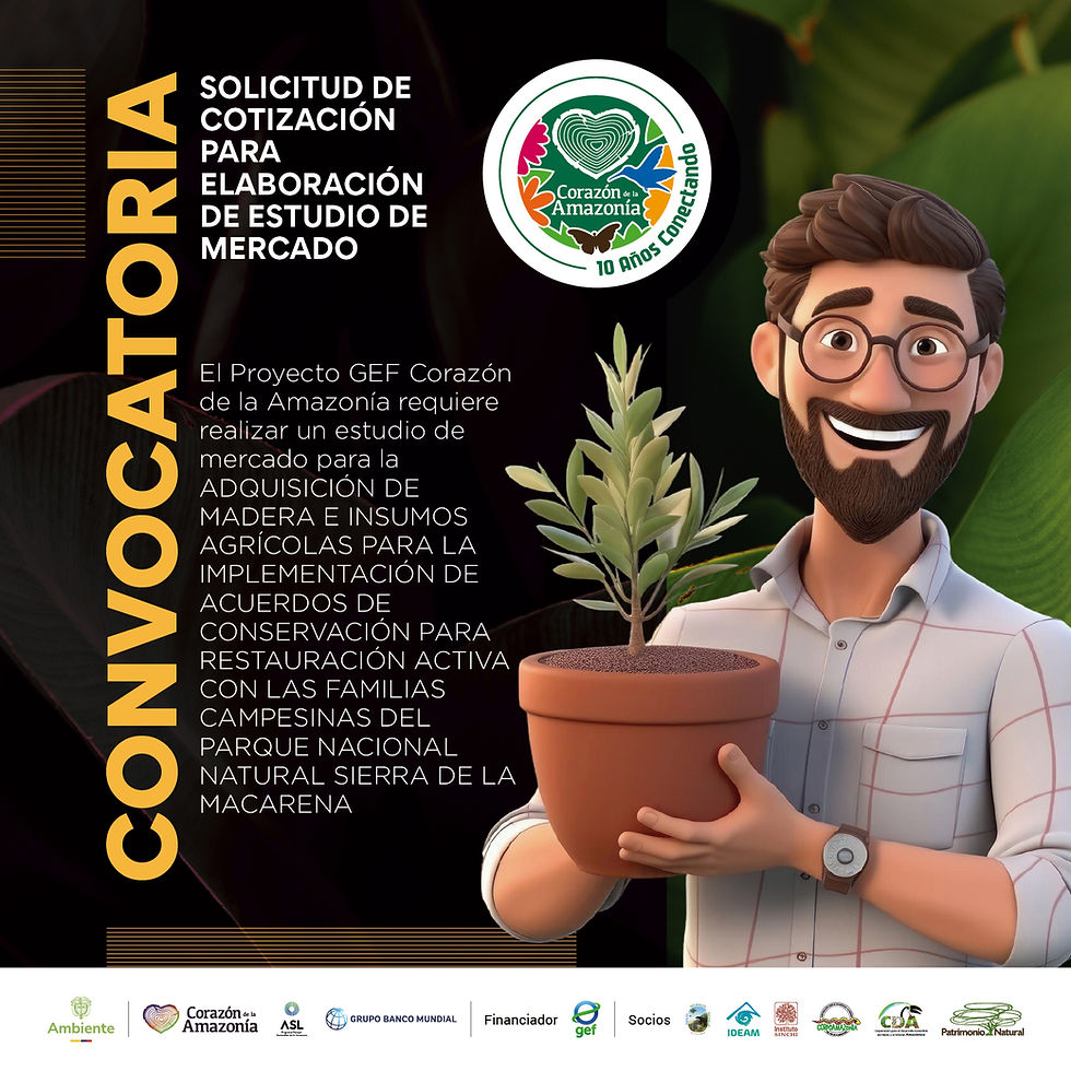 Solicitud de cotización para elaboración de estudio de mercado