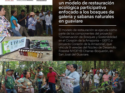 Instituto SINCHI y CDA, trabajan en el desarrollo de un modelo de restauración ecológica participativa