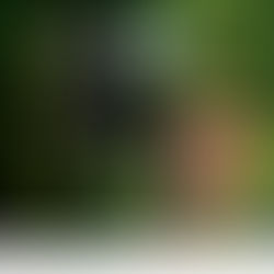 Solicitud de cotización para elaboración de estudio de mercado