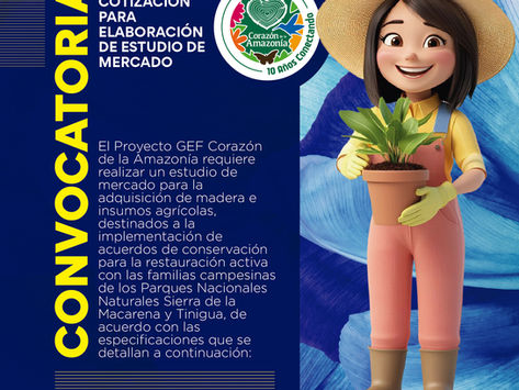 Solicitud de cotización para elaboración de estudio de mercado