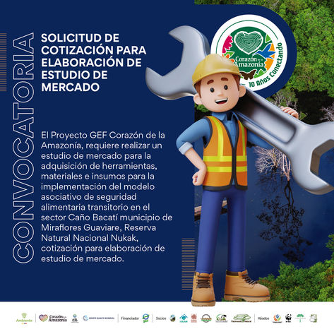 Solicitud de cotización para elaboración de estudio de mercado