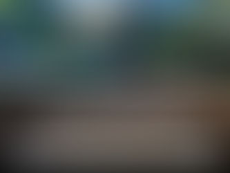 Los colores de la selva: apropiación del Parque Nacional Natural Alto Fragua Indi Wasi