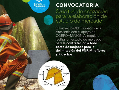 Solicitud de cotización para la elaboración de estudio de mercado.