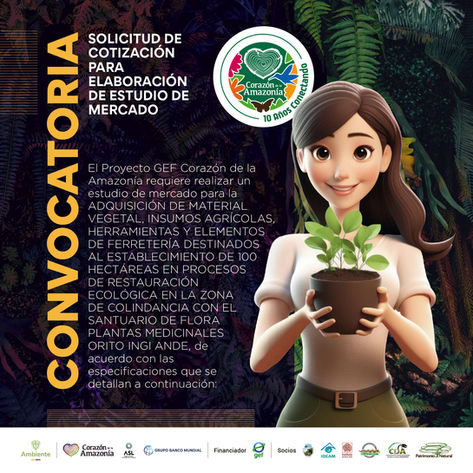 Solicitud de cotización para elaboración de estudio de mercado