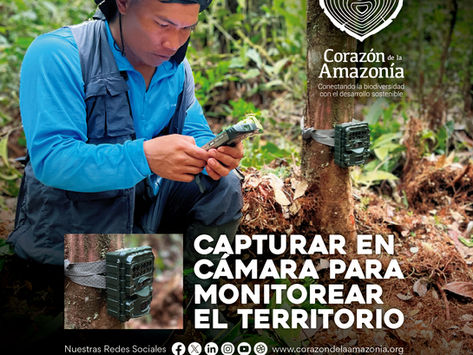 Capturar en cámara para monitorear el territorio