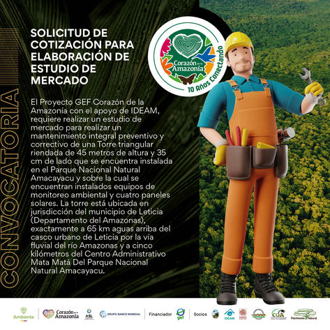 Solicitud de cotización para elaboración de estudio de mercado