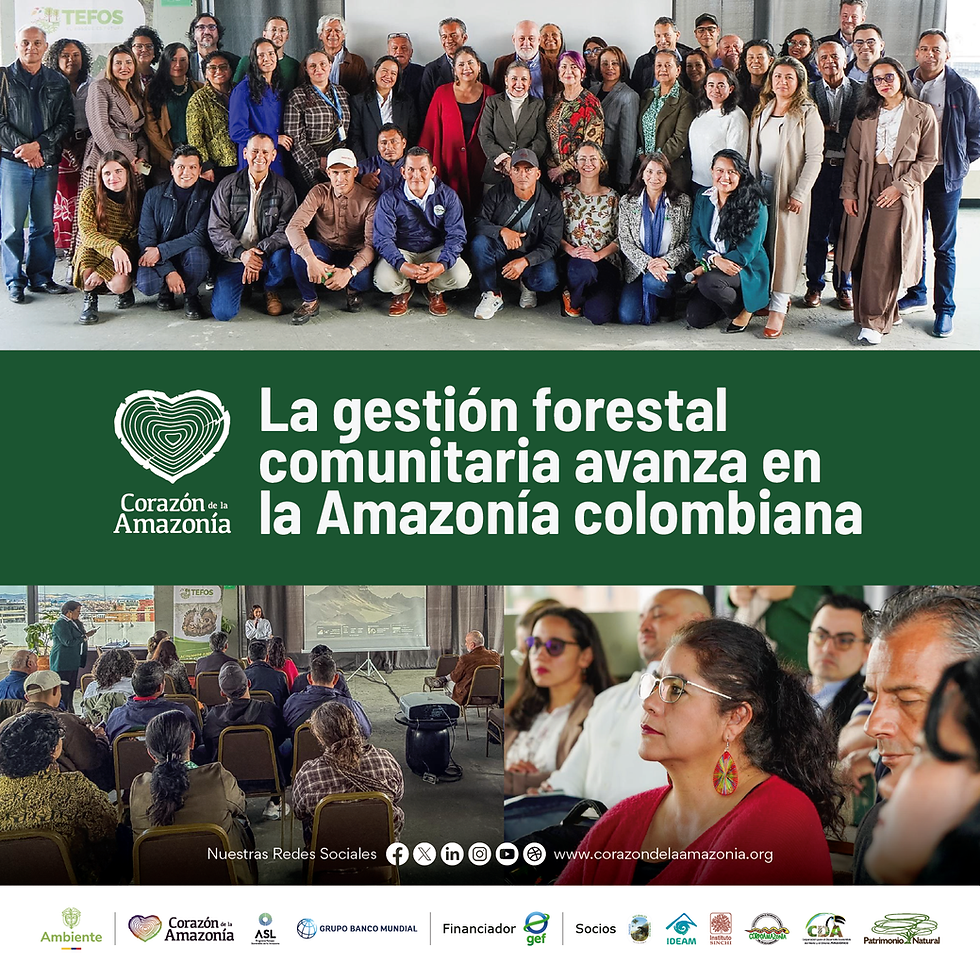 La gestión forestal comunitaria avanza en la Amazonía colombiana