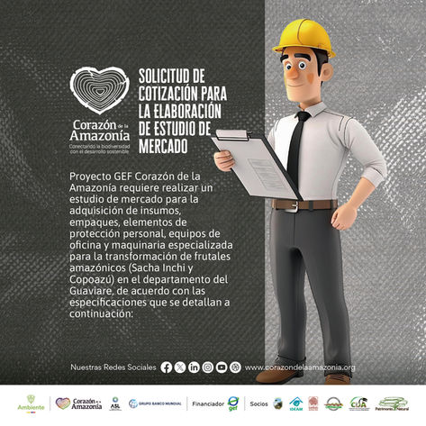 Solicitud de cotización para elaboración de estudio de mercado