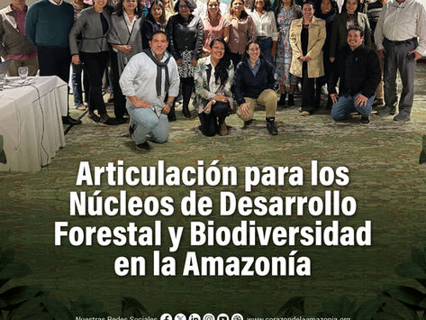 Articulación para los Núcleos de Desarrollo Forestal y Biodiversidad en la Amazonía