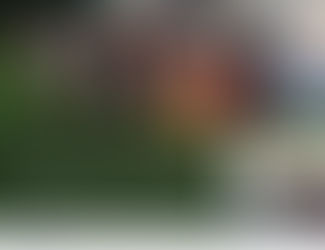 Intercambio de experiencias exitosas de “Turismo de Naturaleza por Cundinamarca”