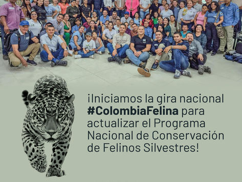 ¡Iniciamos la gira nacional #ColombiaFelina para actualizar el Programa Nacional de Conservación de Felinos Silvestres!