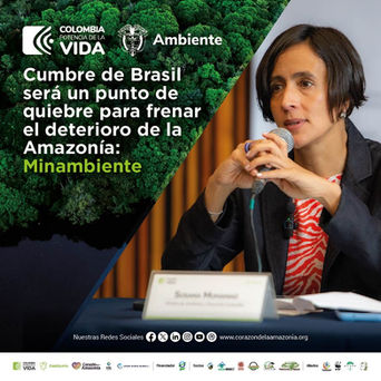 Cumbre de Brasil será un punto de quiebre para frenar el deterioro de la Amazonía: Minambiente