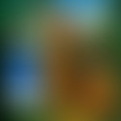 Te invitamos al taller conversatorio