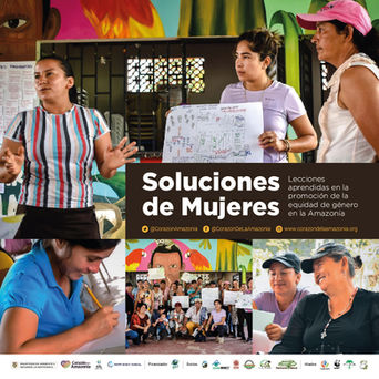 Soluciones de Mujeres -Lecciones aprendidas en la promoción de la equidad de género en la Amazonía.