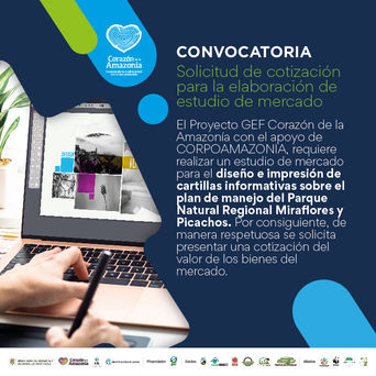 Solicitud de cotización para elaboración de estudio de mercado.