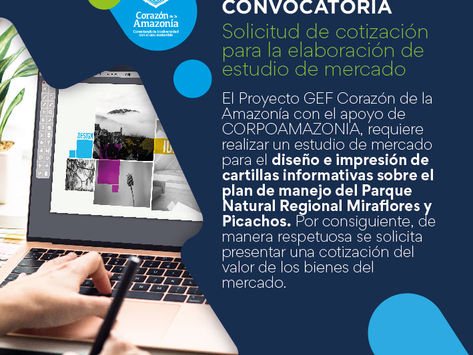 Solicitud de cotización para elaboración de estudio de mercado.
