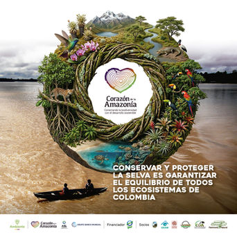 Corazón de la Amazonía: proteger la selva es proteger todos los ecosistemas de Colombia