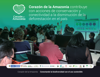 Contribuimos con acciones de conservación y conectividad a la disminución de la deforestación