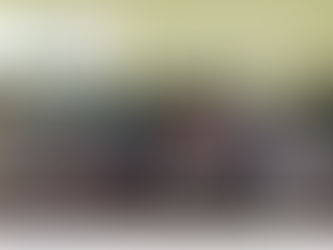 Avanza la gestión de los bosques en el Guaviare.