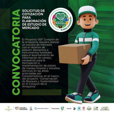 Solicitud de cotización para elaboración de estudio de mercado