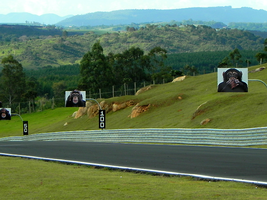 VELOCITTA recebe sexta etapa da Old Stock Race
