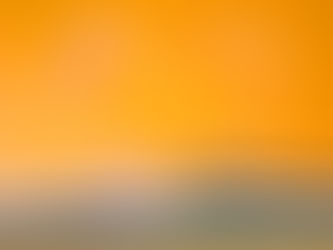 A teal-covered book opens up with pages forming a heart shape against an orange background.