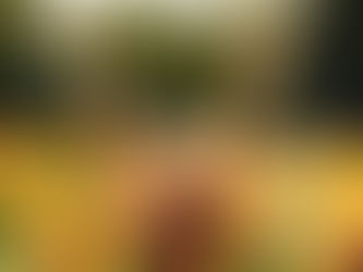 Woman wearing a red blouse and a red-lined straw hat raises her arms while surrounded by floating bubbles and a field of sunflowers