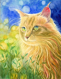 Ginger Cat 8 x 10.png