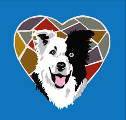 BORCOLLdesigns8-15hdhrt