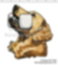 GOLDEN-hd-RTRV--EMB--3-18finSEWSIM