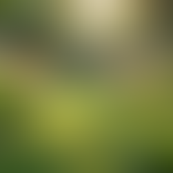 The Importance of Sustainable Living in Today's World